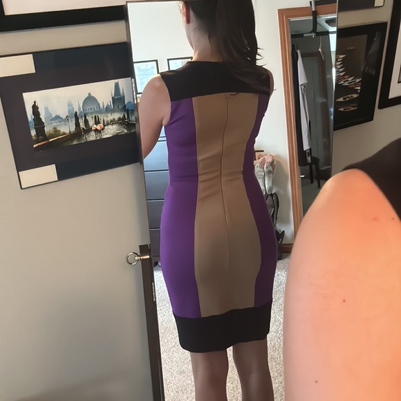 Cache Contour Color block Dress - Picture 4 of 10